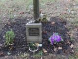 image of grave number 931257